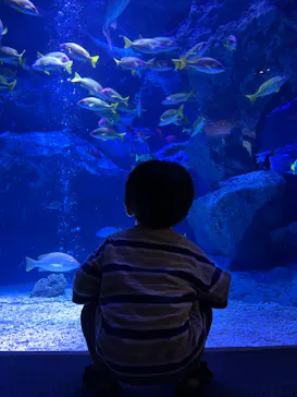 すみだ水族館に投稿された画像（2024/9/16）