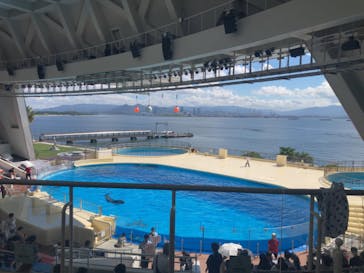 マリンワールド海の中道に投稿された画像（2024/9/16）