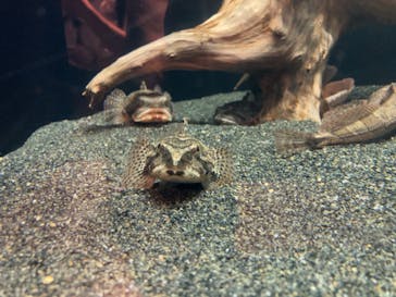 マリンワールド海の中道に投稿された画像（2024/9/16）