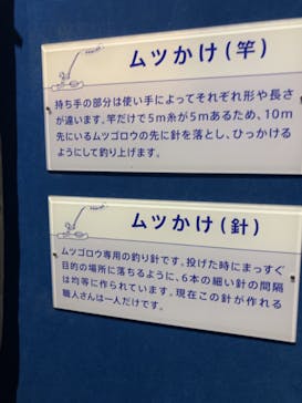 マリンワールド海の中道に投稿された画像（2024/9/16）