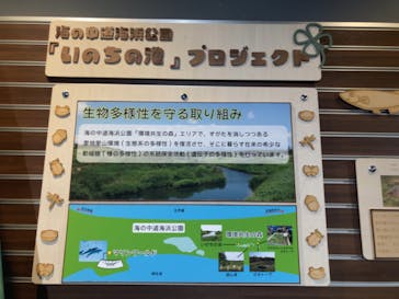 マリンワールド海の中道に投稿された画像（2024/9/16）