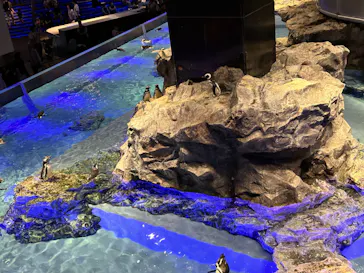 すみだ水族館に投稿された画像（2024/9/16）