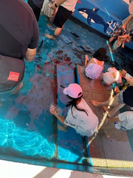 越前松島水族館に投稿された画像（2024/9/16）