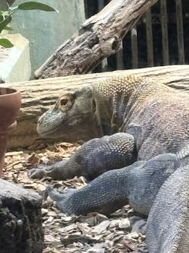 名古屋市東山動植物園に投稿された画像（2024/9/16）