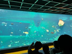 箱根園水族館に投稿された画像（2024/9/16）