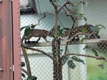 名古屋市東山動植物園に投稿された画像（2024/9/16）