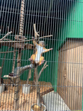 名古屋市東山動植物園に投稿された画像（2024/9/16）