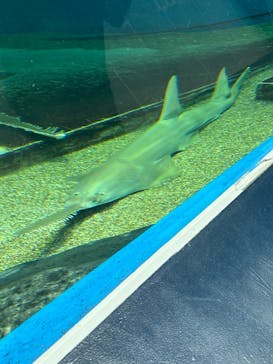 マクセル アクアパーク品川に投稿された画像（2024/9/16）