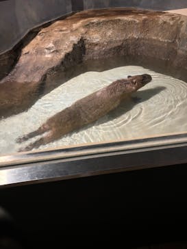 マクセル アクアパーク品川に投稿された画像（2024/9/16）