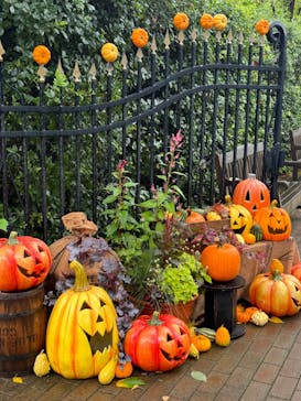 横浜イングリッシュガーデンに投稿された画像（2024/9/16）