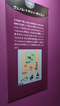 特別展　毒に投稿された画像（2024/9/16）