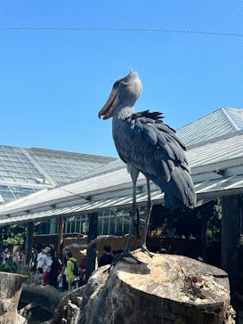 神戸どうぶつ王国に投稿された画像（2024/9/16）