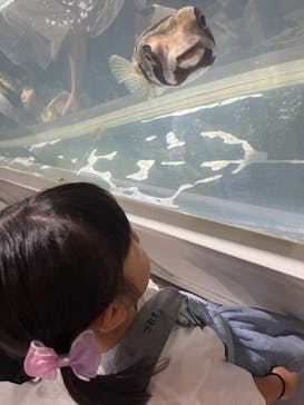 NIFREL（ニフレル）に投稿された画像（2024/9/16）