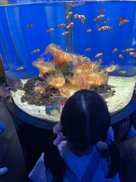 NIFREL（ニフレル）に投稿された画像（2024/9/16）