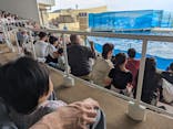 新江ノ島水族館に投稿された画像（2024/9/16）