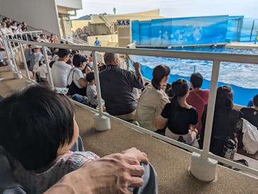 新江ノ島水族館に投稿された画像（2024/9/16）