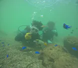 武藤潜水に投稿された画像（2024/9/16）