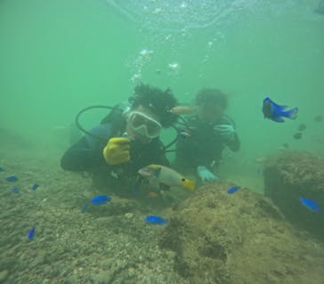 武藤潜水に投稿された画像（2024/9/16）