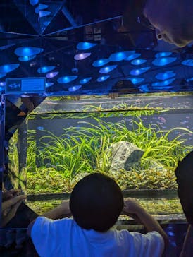 AQUARIUM × ART　atoaに投稿された画像（2024/9/16）