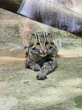 神戸どうぶつ王国に投稿された画像（2024/9/16）