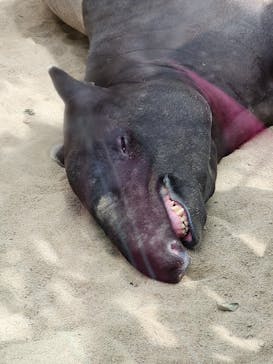 神戸どうぶつ王国に投稿された画像（2024/9/16）