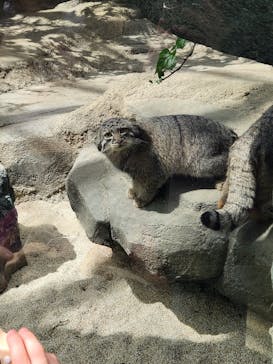 神戸どうぶつ王国に投稿された画像（2024/9/16）