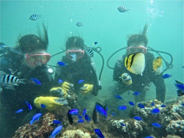 武藤潜水に投稿された画像（2024/9/16）