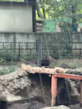 恩賜上野動物園に投稿された画像（2024/9/16）