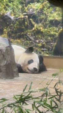 恩賜上野動物園に投稿された画像（2024/9/16）