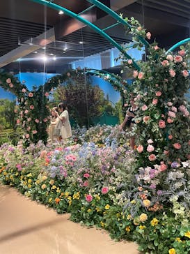 モネ＆フレンズ・アライブに投稿された画像（2024/9/16）