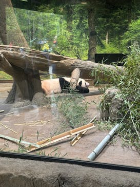 恩賜上野動物園に投稿された画像（2024/9/16）