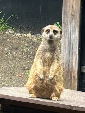恩賜上野動物園に投稿された画像（2024/9/16）