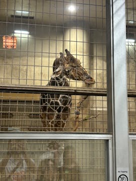 恩賜上野動物園に投稿された画像（2024/9/16）