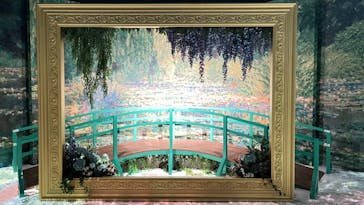 モネ＆フレンズ・アライブに投稿された画像（2024/9/16）