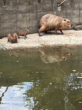 姫路セントラルパークに投稿された画像（2024/9/16）