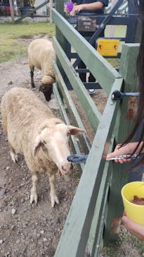 EnglishGardenローザンベリー多和田に投稿された画像（2024/9/16）