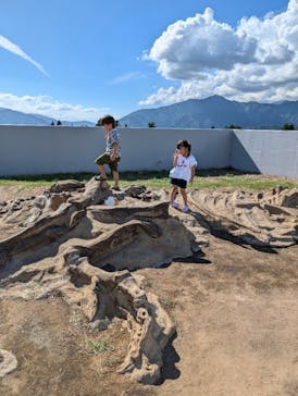 福井県立恐竜博物館に投稿された画像（2024/9/16）