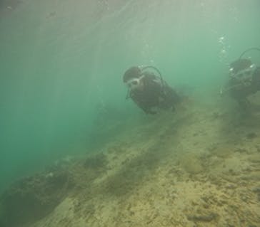 沖縄マリンサービス碧に投稿された画像（2024/9/16）