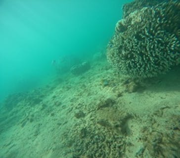 沖縄マリンサービス碧に投稿された画像（2024/9/16）