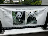 恩賜上野動物園に投稿された画像（2024/9/16）