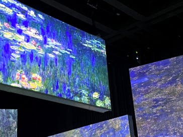 モネ＆フレンズ・アライブに投稿された画像（2024/9/16）