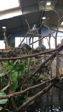 那須どうぶつ王国に投稿された画像（2024/9/16）