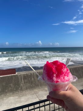 鴨川シーワールドに投稿された画像（2024/9/16）