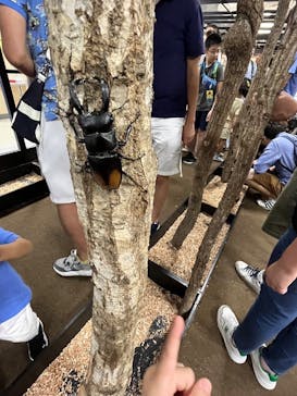 JOYPOLIS 特別イベントスペースに投稿された画像（2024/9/16）