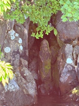 グリランド株式会社に投稿された画像（2024/9/16）