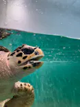 仙台うみの杜水族館に投稿された画像（2024/9/16）