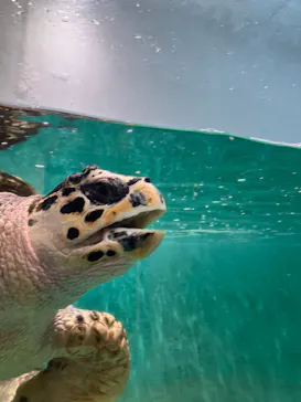 仙台うみの杜水族館に投稿された画像（2024/9/16）