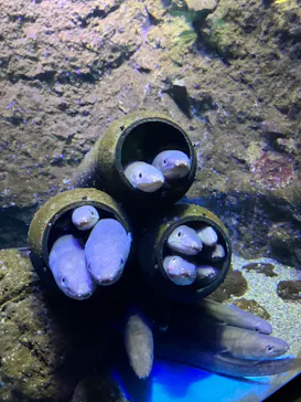 仙台うみの杜水族館に投稿された画像（2024/9/16）