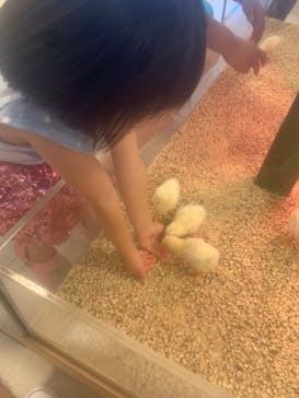 Moff animal world BIGHOPガーデンモール印西店に投稿された画像（2024/9/16）