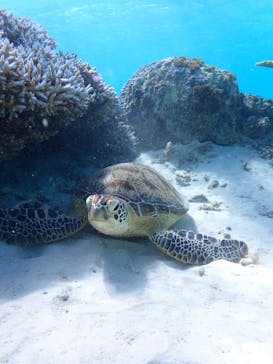 noahに投稿された画像（2024/9/16）